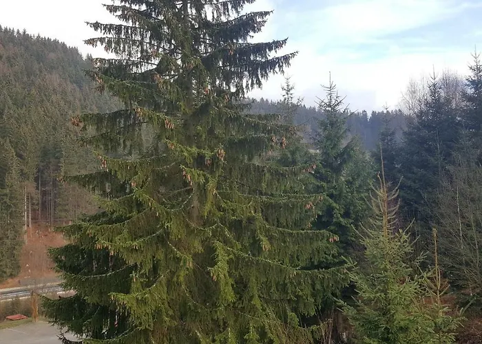 Velveta Hotel Špindlerŭv Mlýn