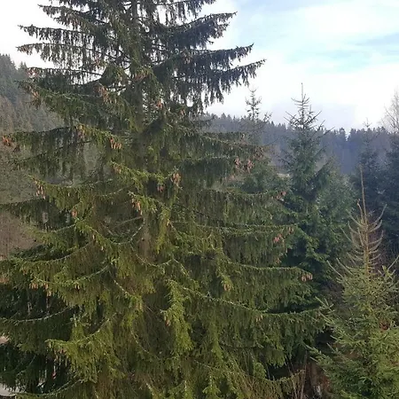 Velveta فندق Špindlerŭv Mlýn