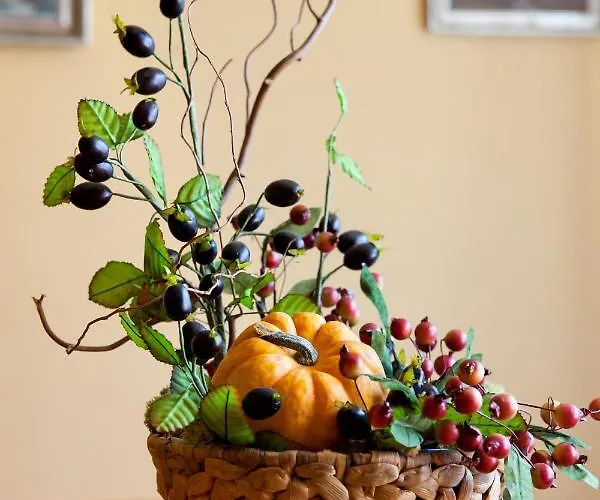 Velveta Отель 3*